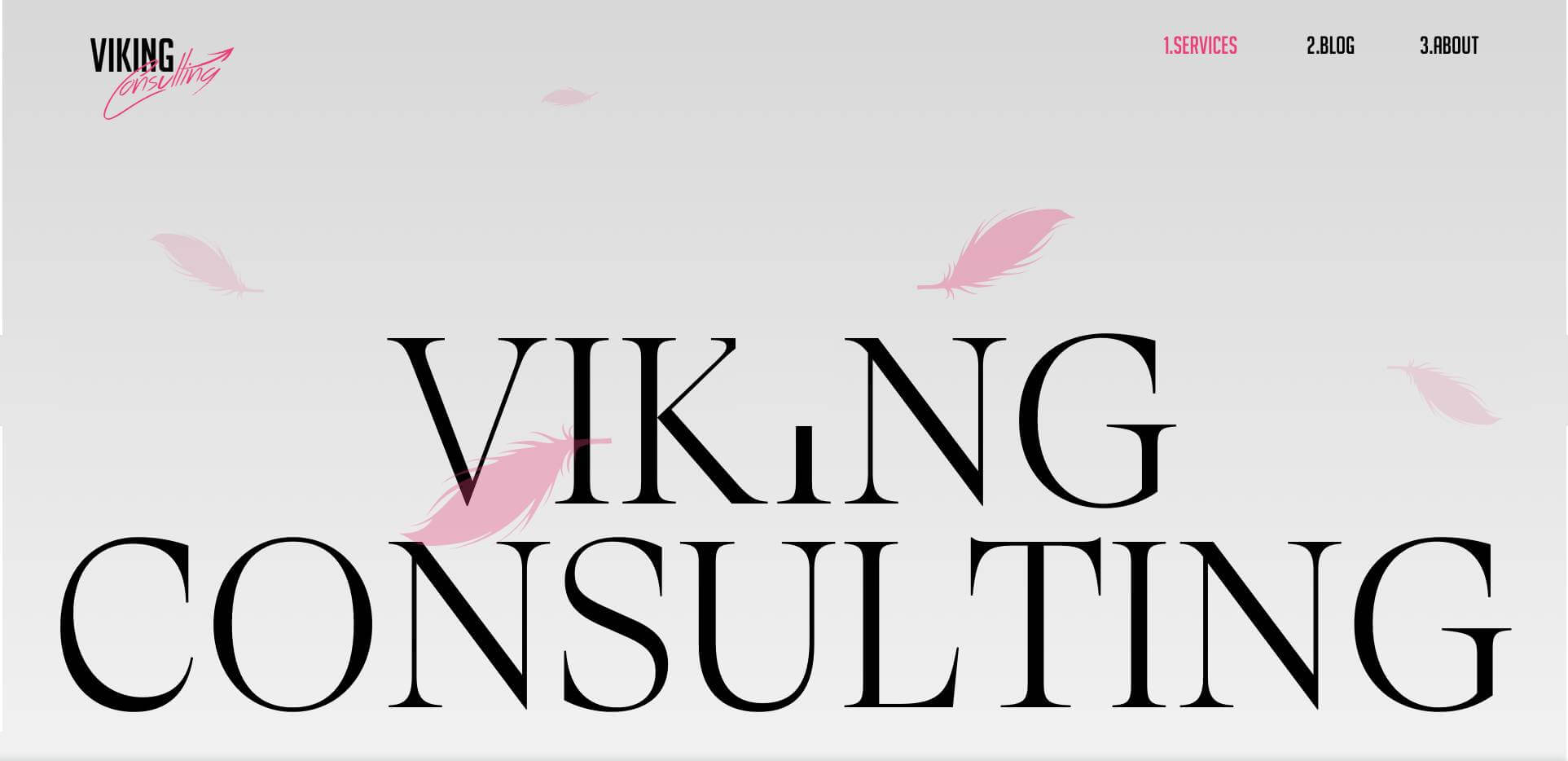 Viking Consulting